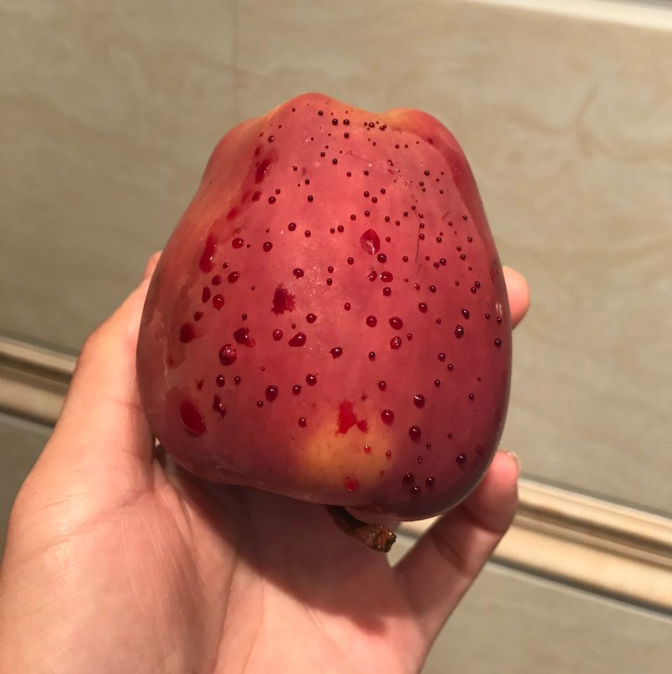 嚇懵！女子用熱水泡蘋(píng)果結(jié)果冒出血珠 咋回事？