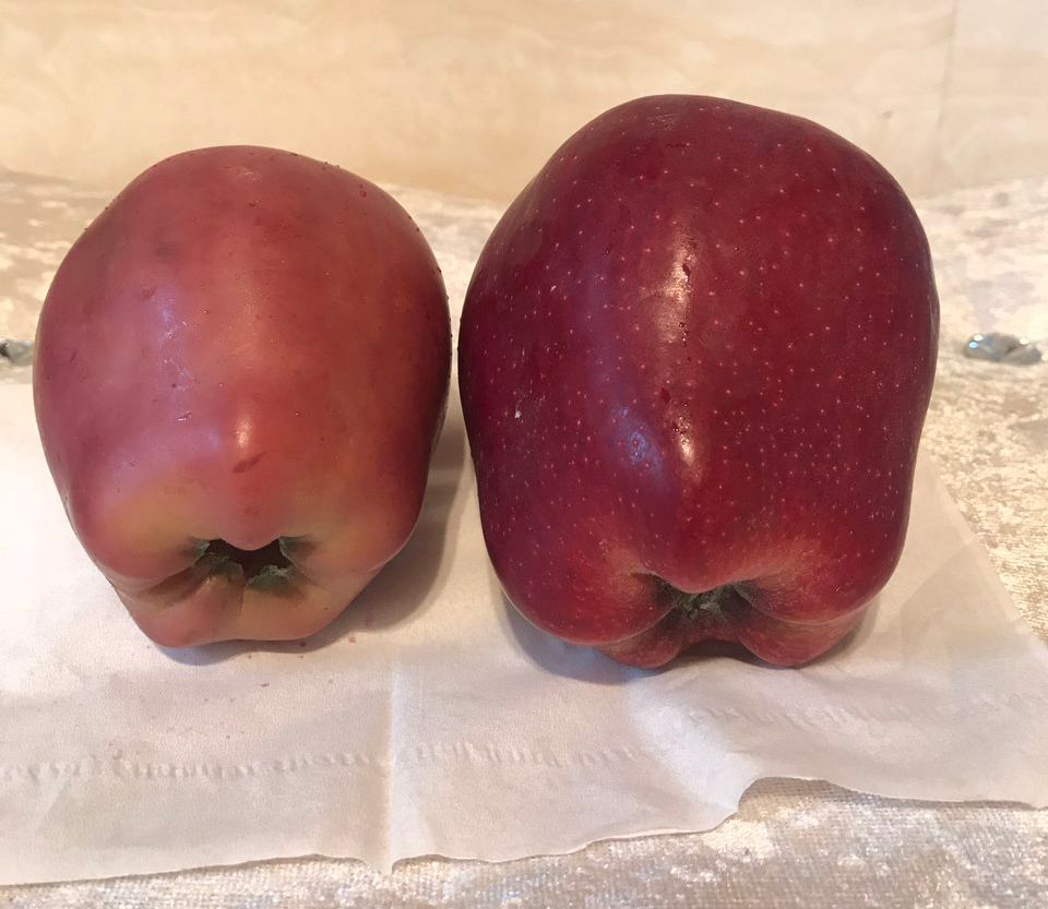 嚇懵！女子用熱水泡蘋(píng)果結(jié)果冒出血珠 咋回事？