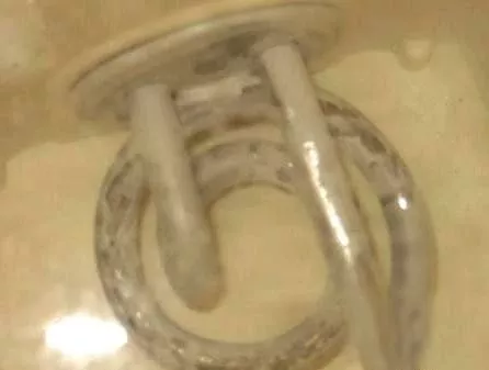 太惡心！女游客竟用酒店燒水壺煮自己的臟內(nèi)褲