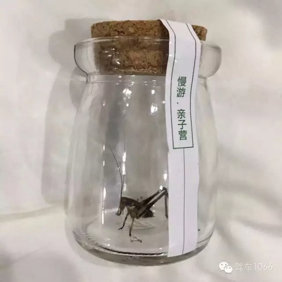 看看我的成果吧！