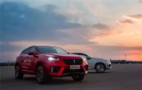 去年“蹦”出來的新汽車品牌們，現(xiàn)在活得怎么樣了？