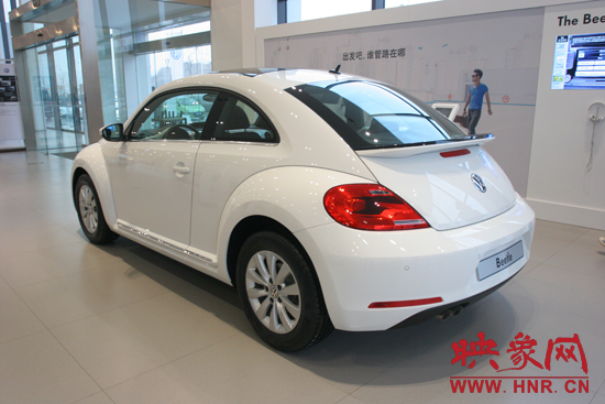 甲殼蟲(chóng) 甲殼蟲(chóng)