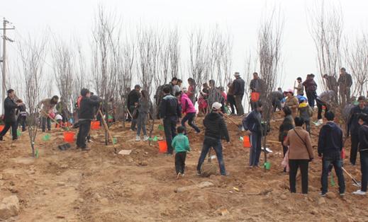 植樹活動開始將一棵棵綠色愛心深埋泥土 植樹活動開始將一棵棵綠色愛心深埋泥土