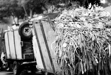 垃圾車、渣土車再在市區(qū)“裸奔”就是違法了