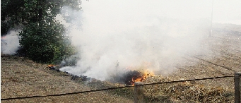 鄭州深陷“霾”伏   都是燒秸稈惹的禍？