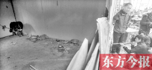 12月4日，鄭州市未來路與隴海路交叉口西側(cè)，執(zhí)法人員用吹管麻醉針對(duì)付一只藏獒