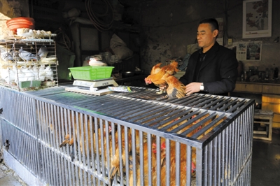 南京另一家農(nóng)貿(mào)市場(chǎng)內(nèi)待售的活雞。因南京出現(xiàn)H7N9禽流病例，買活雞的顧客減少。