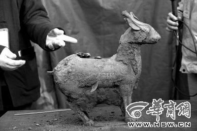 一件似羊似鹿的犧尊華麗亮相，可愛的造型“萌翻”現(xiàn)場。