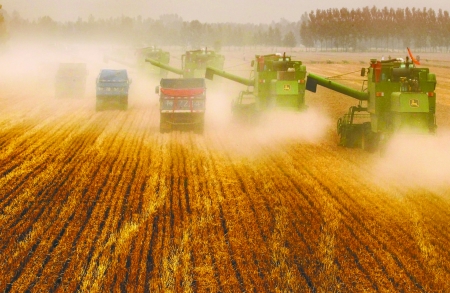 田里，一臺臺收割機唱著豐收歌。