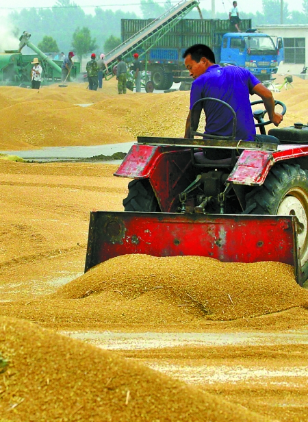 精心晾曬，散倉入庫。
