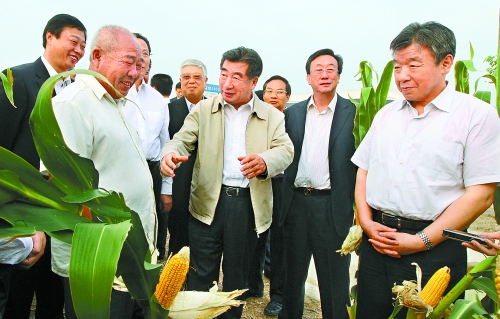 圖為回良玉在鄧州市腰店鄉(xiāng)草寺村視察萬畝玉米高產(chǎn)示范方。