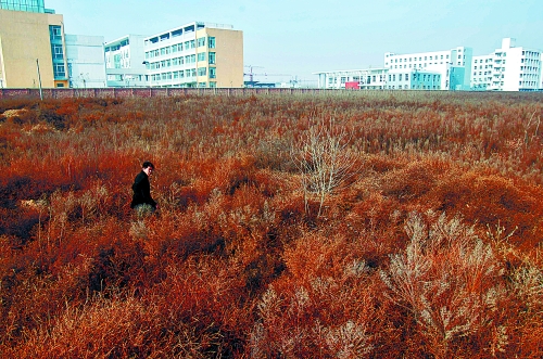 航空港區(qū)第三幼兒園還未開建 航空港區(qū)第三幼兒園還未開建