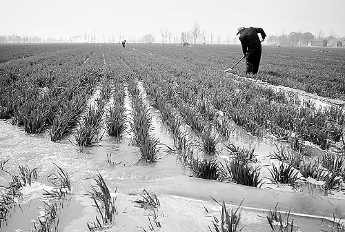 3月25日，濮陽縣郎中鄉(xiāng)大趙寨村農(nóng)民在為小麥澆水。連日來，濮陽縣廣大農(nóng)民不誤農(nóng)時，及時為麥田施肥、澆