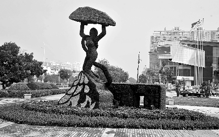 8月28日，南陽街頭繁花似錦，市民宛若行走在花海之中。