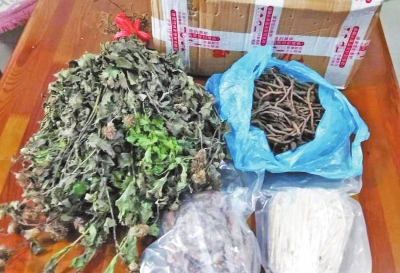 焦作女子網(wǎng)上買中藥上當(dāng) 專家稱真假難辨