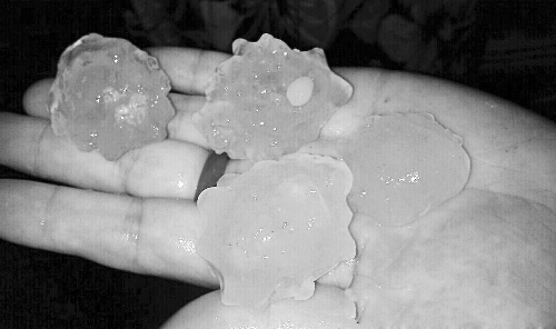 昨天凌晨，三門峽下起了冰雹，最大直徑近1厘米 微博截圖