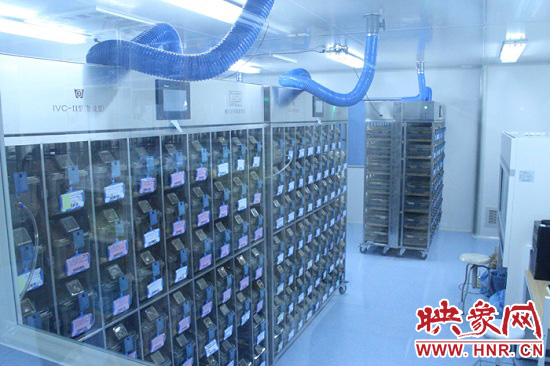 “鼠村”里每一個籠子是一家。“村”里住著1萬只左右的小鼠