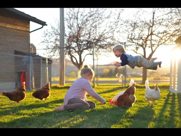 美國男子為患唐氏綜合癥兒子拍“飛行照” 美國男子為患唐氏綜合癥兒子拍“飛行照”