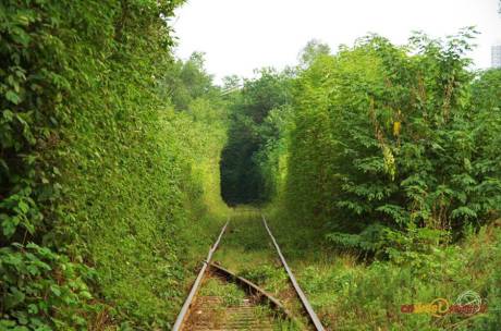 西安現“小清新”鐵路