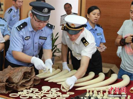 寧波海關(guān)查獲走私珍貴動(dòng)物制品 寧波海關(guān)查獲走私珍貴動(dòng)物制品