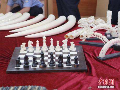 寧波海關(guān)查獲走私珍貴動(dòng)物制品 寧波海關(guān)查獲走私珍貴動(dòng)物制品