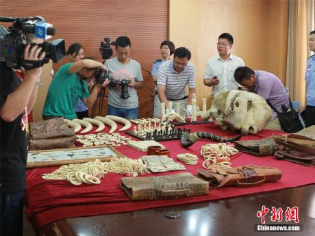 寧波海關(guān)查獲走私珍貴動(dòng)物制品 寧波海關(guān)查獲走私珍貴動(dòng)物制品