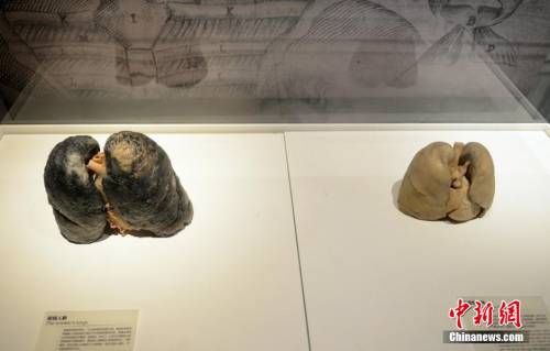 生命奧秘博物館入駐周莊 生命奧秘博物館入駐周莊