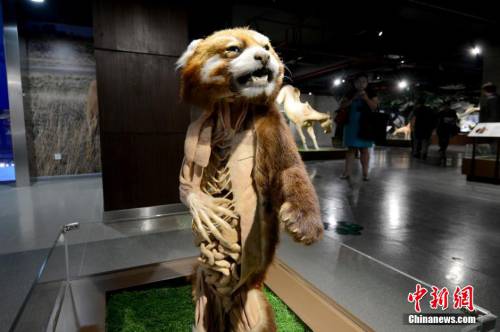 生命奧秘博物館入駐周莊 生命奧秘博物館入駐周莊