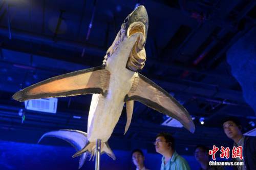 生命奧秘博物館入駐周莊 生命奧秘博物館入駐周莊