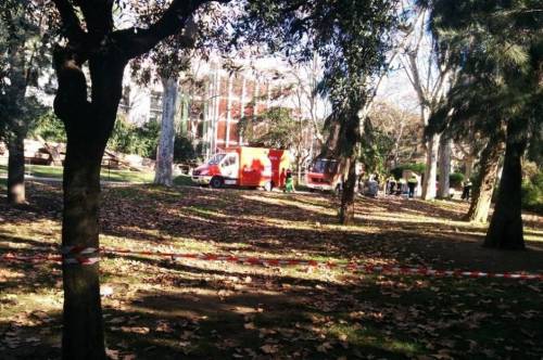 西班牙男子跳進(jìn)動(dòng)物園獅子山 西班牙男子跳進(jìn)動(dòng)物園獅子山