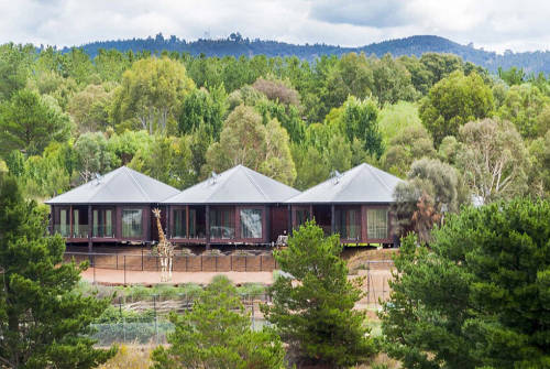 澳洲動物園中開旅館 親密接觸野生動物 澳洲動物園中開旅館 親密接觸野生動物