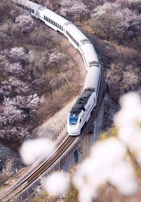 開往春天的列車 開往春天的列車
