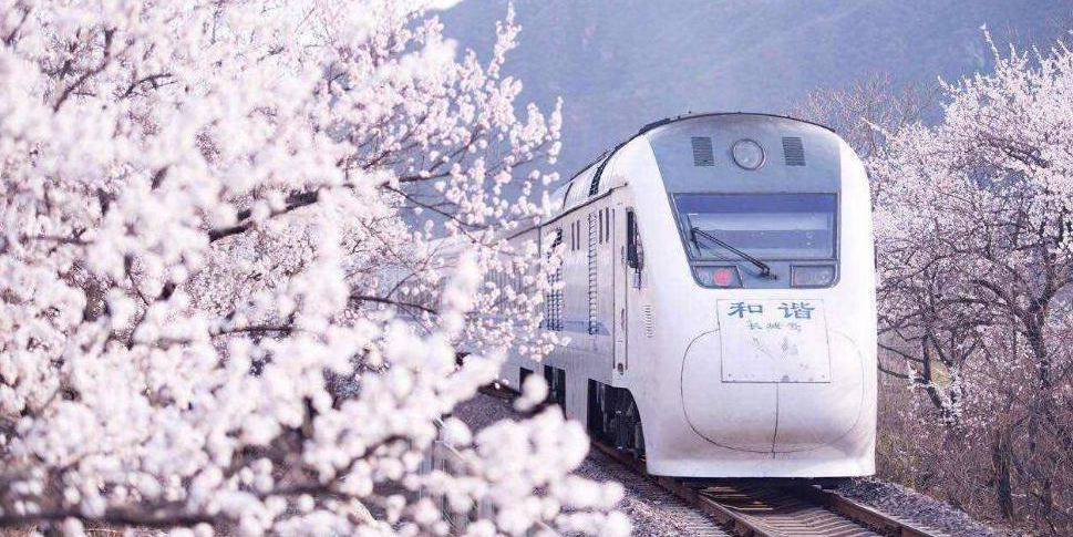 開往春天的列車 開往春天的列車