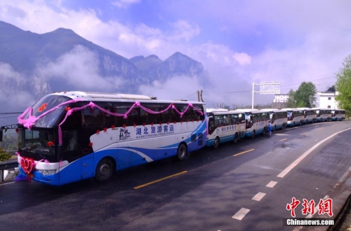 湖北恩施小伙8輛旅游大巴迎親引圍觀 湖北恩施小伙8輛旅游大巴迎親引圍觀