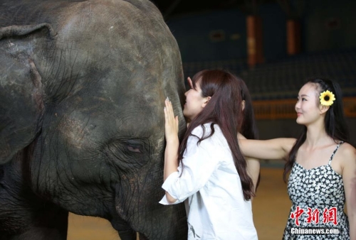 學(xué)生參加?；ㄐ２荽筚?穿比基尼秀身材