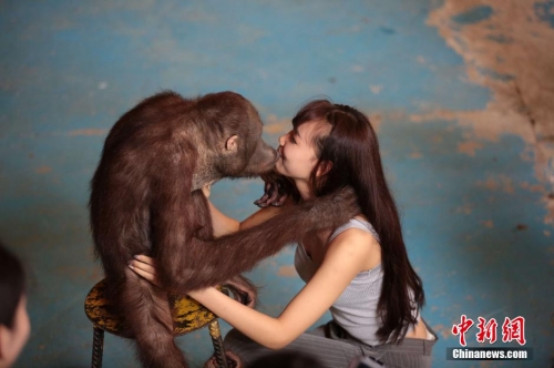 學(xué)生參加?；ㄐ２荽筚?穿比基尼秀身材