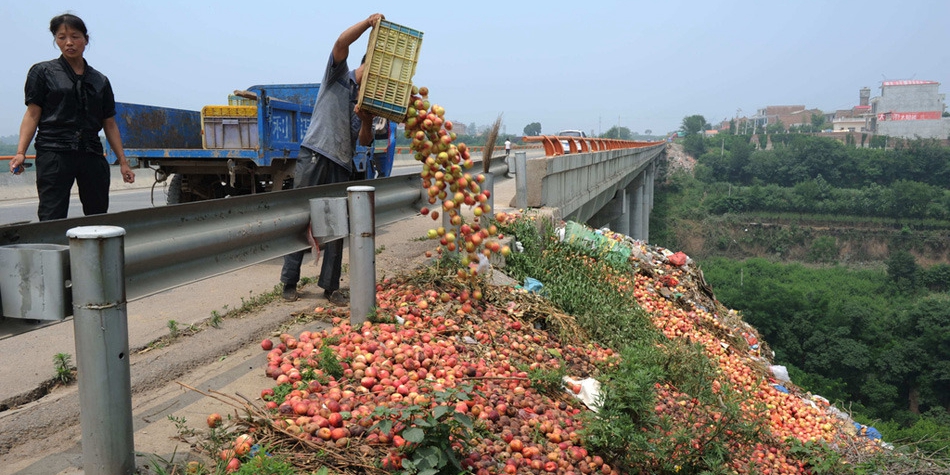 陜西：果農(nóng)將滯銷桃倒進河道