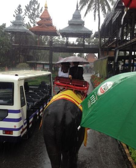 姚笛被曝已有新歡與壯男同游泰國(guó)親密騎大象 姚笛被曝已有新歡與壯男同游泰國(guó)親密騎大象