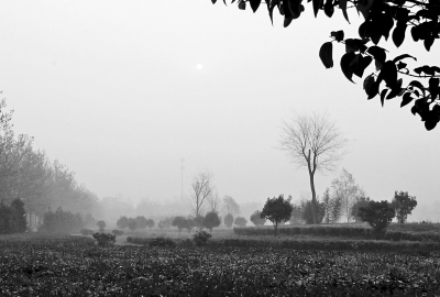 3月26日上午8點(diǎn),鄭大新校區(qū),濃濃的霧霾埋沒了大好春景。