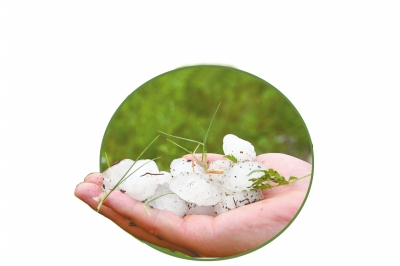 冰雹化了一些,還有這么大。