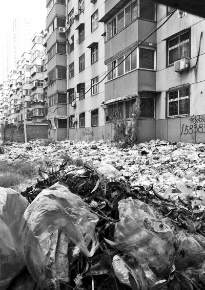 透過擋板縫向內(nèi)看，30多米垃圾已經(jīng)將居民樓包圍。