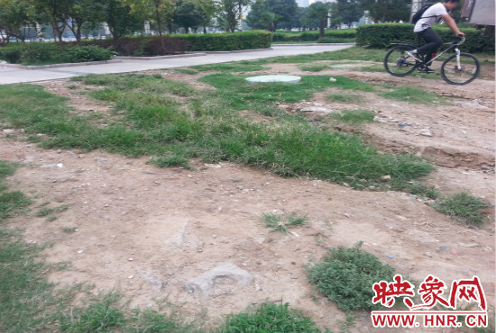 公園內(nèi)大片草坪遭到破壞。