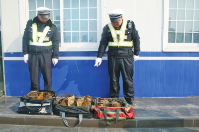 民警查獲的乘客行李包中，裝的全是獼猴。