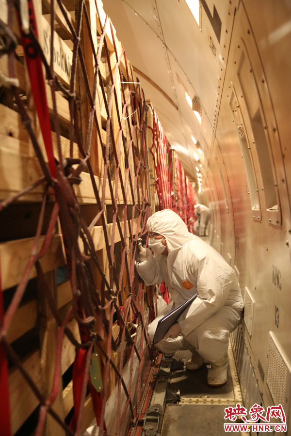 千只澳大利亞種羊“打飛的”落戶(hù)河南 創(chuàng)國(guó)內(nèi)多個(gè)第一 千只澳大利亞種羊“打飛的”落戶(hù)河南 創(chuàng)國(guó)內(nèi)多個(gè)第一