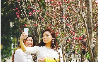 市民在公園與花合影。