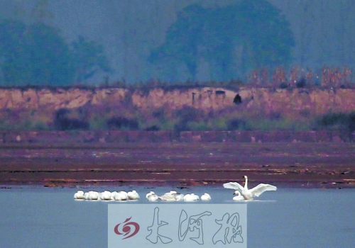 眾“人”皆睡我獨醒 眾“人”皆睡我獨醒