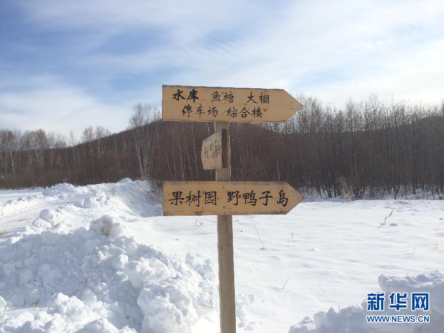 穗豐園里的標(biāo)識牌（2013年12月8日攝）。新華社記者王子辰攝