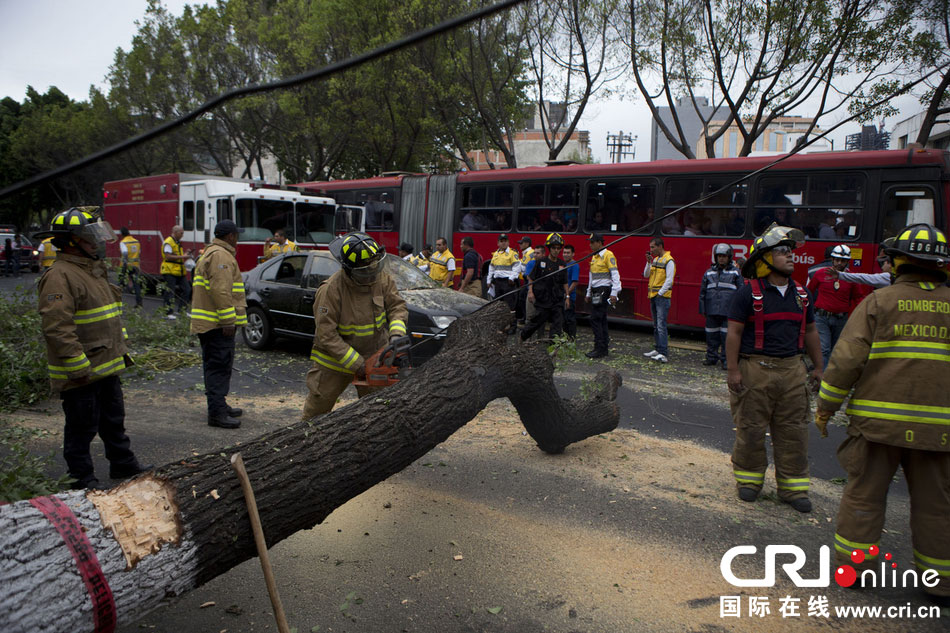 　當?shù)貢r間2014年5月8日，墨西哥墨西哥城，消防人員正在切割一棵倒下的樹?！? width=