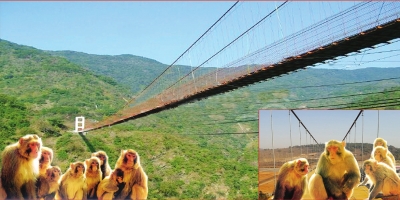 吊索橋效果圖(濟(jì)源當(dāng)?shù)靥峁? alt=