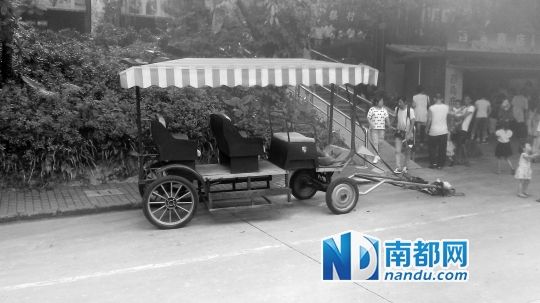 園方則稱解剖后發(fā)現(xiàn)馬死于心臟衰竭，“與累無關(guān)”。